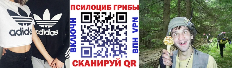 Псилоцибиновые грибы прущие грибы  Черепаново 